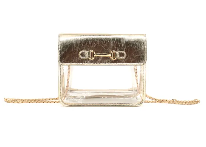 CLEAR CLUTCH BAG