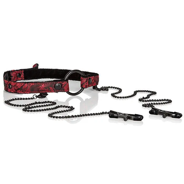 SCANDAL OPEN MOUTH GAG WITH CLAMPS