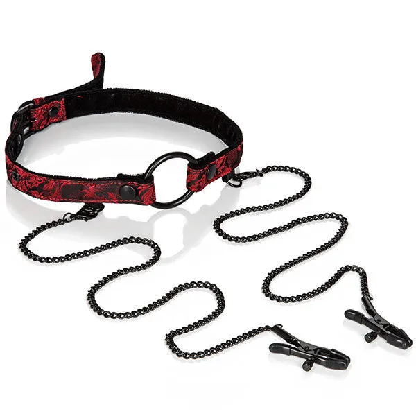 SCANDAL OPEN MOUTH GAG WITH CLAMPS